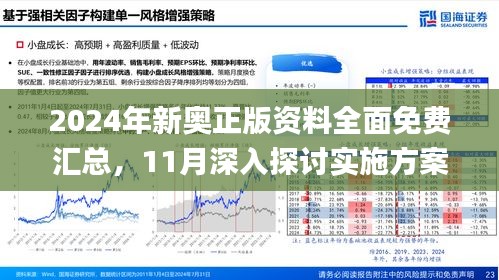 全面解析,2025年新澳正版资料查询方法与落实策略