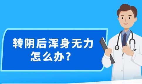 新澳精准资料免费提供网站有哪些,实时解答解释落实